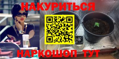 apvp Аргун