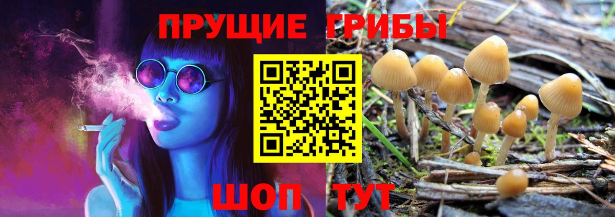 Галлюциногенные грибы ЛСД Воронеж